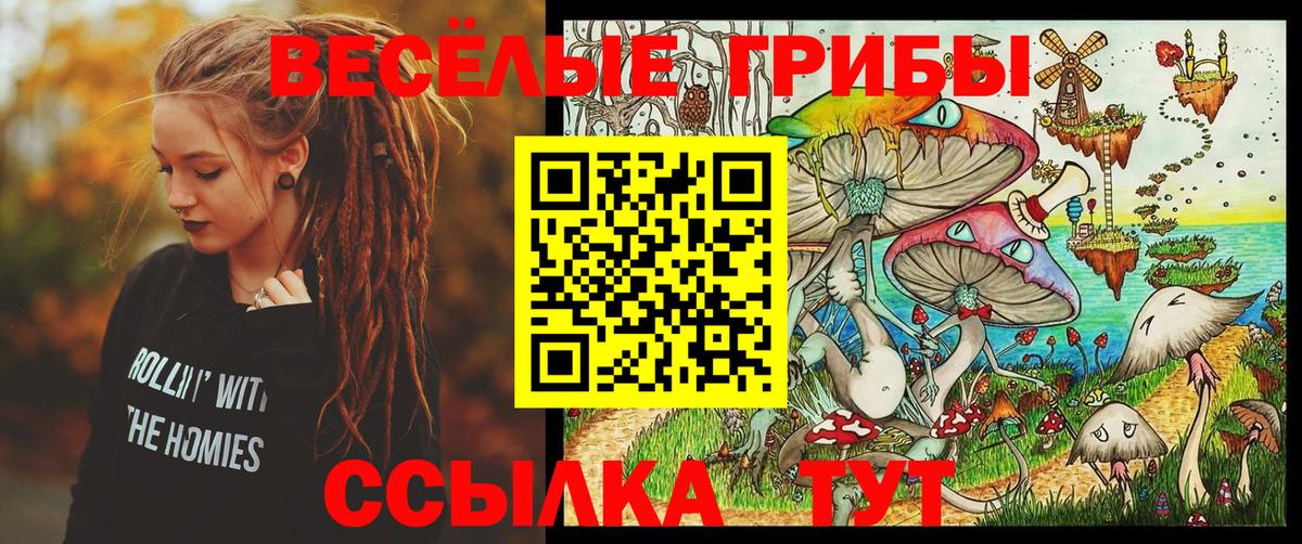 Псилоцибиновые грибы ЛСД  Вход с VPN  Чернушка 